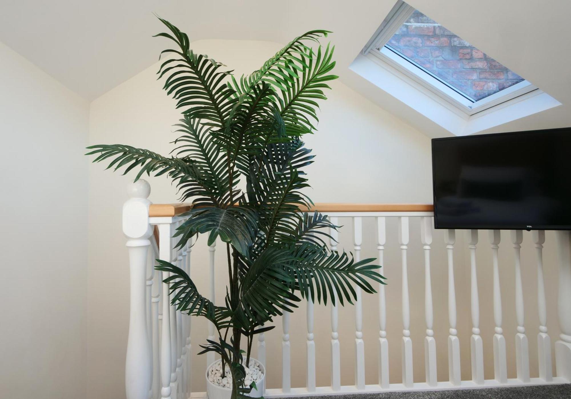 59 Moss - Close To The Centre Holiday home